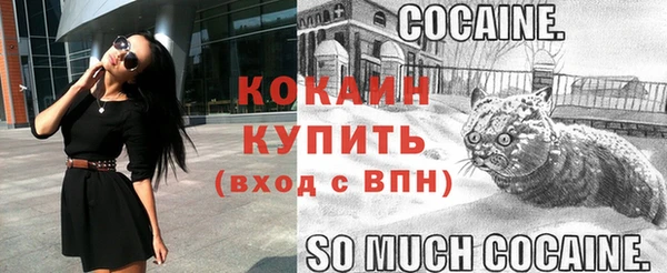 стаф Сатка