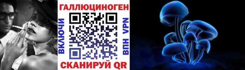 блэк спрут ТОР  сколько стоит  Нахабино  shop Telegram  Галлюциногенные грибы Magic Shrooms 